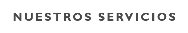 &nbsp;NUESTROS SERVICIOS 